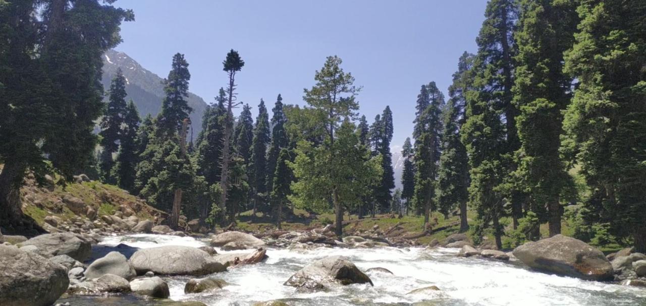 New Relax Inn, Pahalgam, 2 Km From Lidder Valley Exterior photo